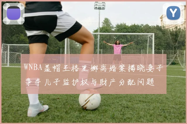 WNBA盖帽王格里娜离婚案揭晓妻子争夺儿子监护权与财产分配问题
